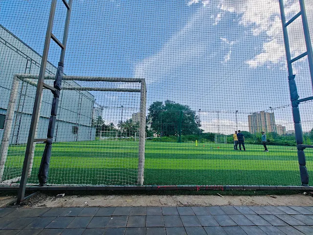 Turf main photo