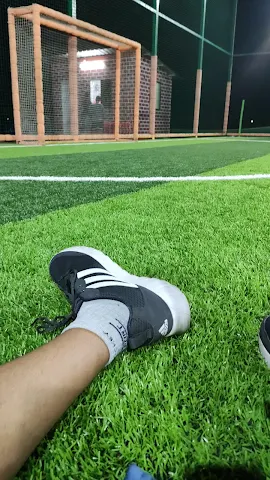 Turf photo 3
