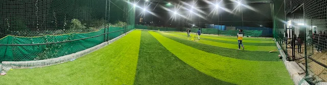 Turf photo 9