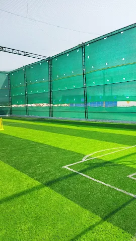 Turf photo 8