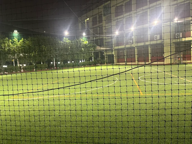 Turf photo 2