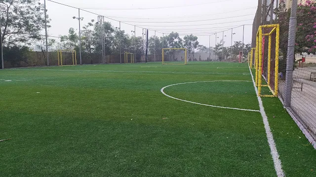 Turf photo 5
