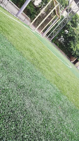 Turf photo 6