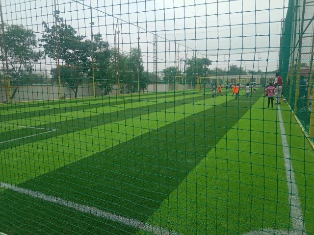 Titans Turf