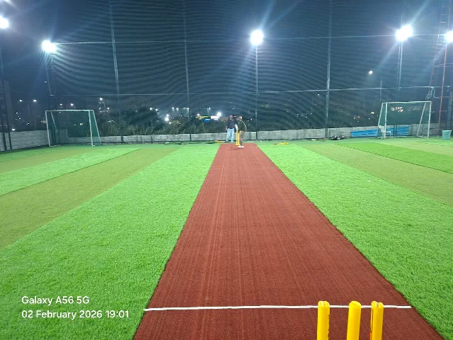 Turf photo 5