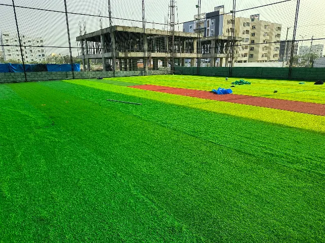 Turf photo 8