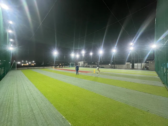 Turf photo 7