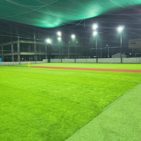 Turf photo 6