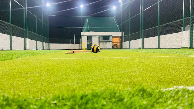 Turf photo 2