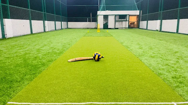 Turf photo 4