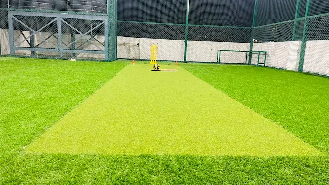 Turf photo 6