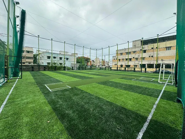 Turf main photo