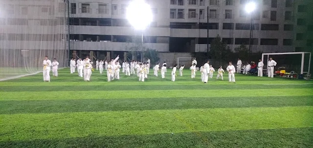 Turf photo 2