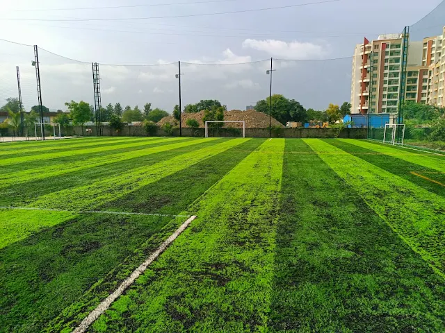 Turf main photo