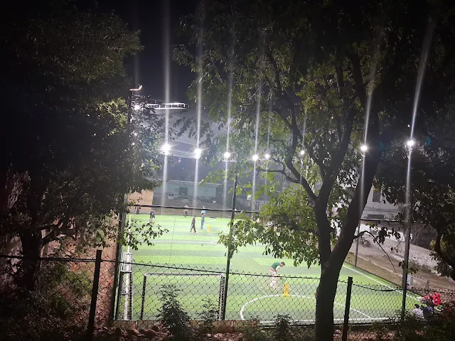 Turf photo 3