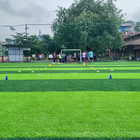 Turf photo 2