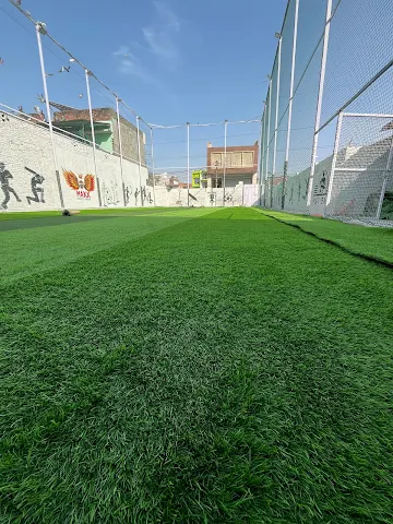 Turf photo 2