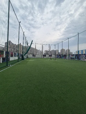 Turf photo 3