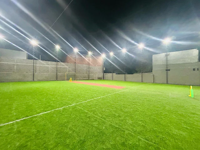 The Lord's Cricket Nation Turf