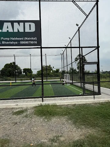 Turf photo 3