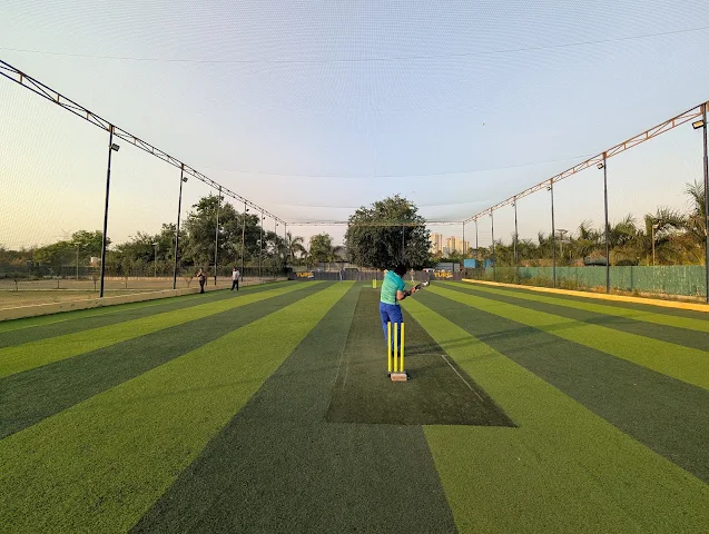 Turf Pro