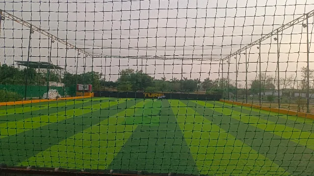 Turf photo 2
