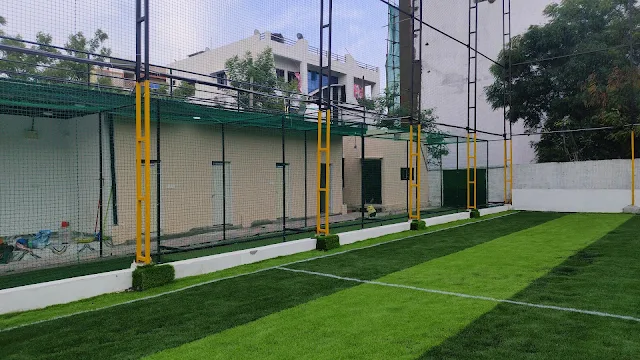 Turf photo 9