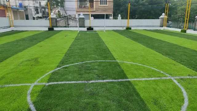 Turf photo 8
