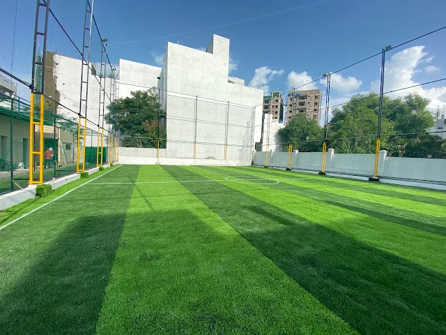 Turf photo 2