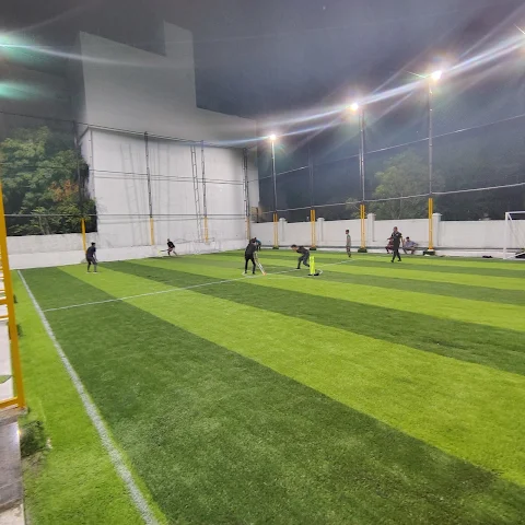 Turf photo 6