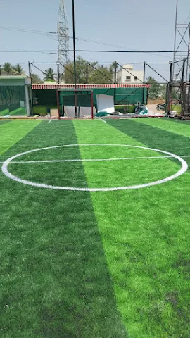 Turf photo 5