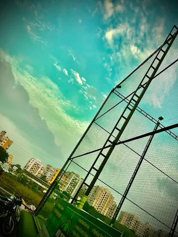 Turf photo 6