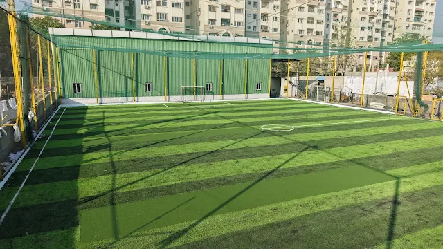 Turf photo 7