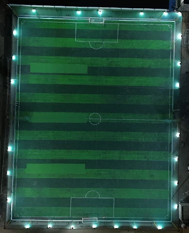 Turf photo 3