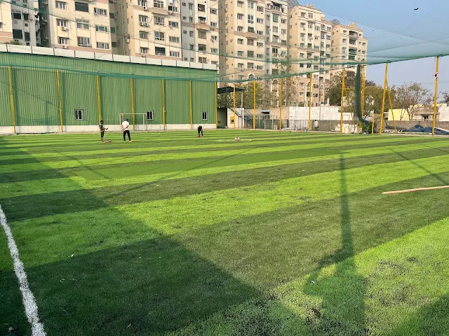 Turf photo 6