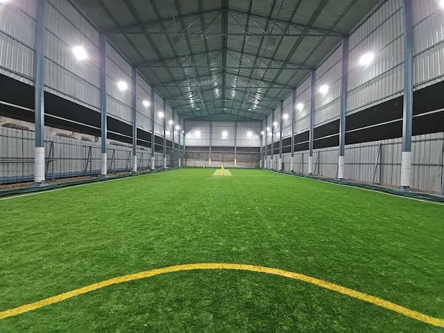 Turf photo 2