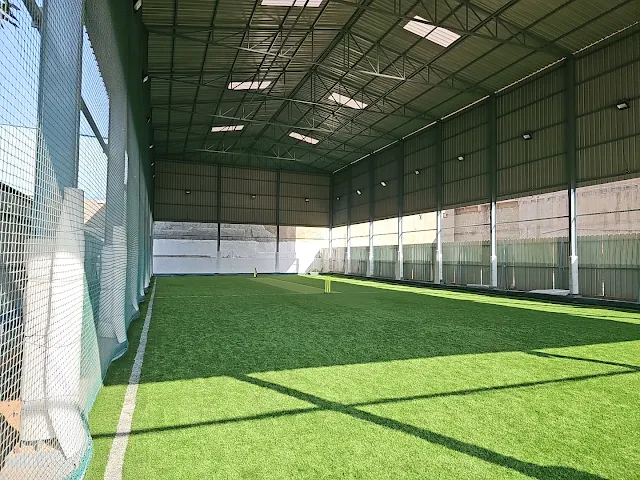 Turf photo 6