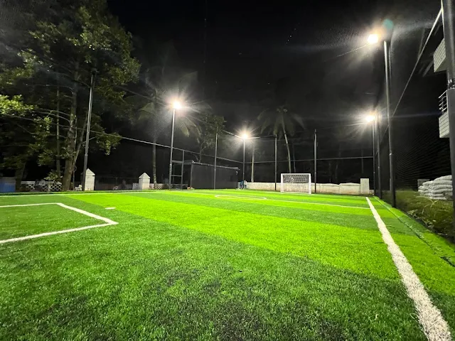 Turf photo 2