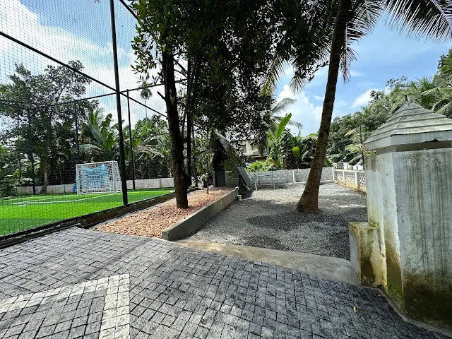 Turf photo 6
