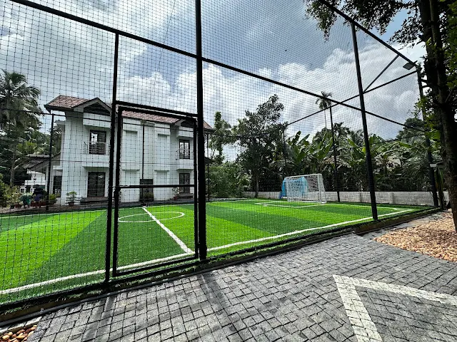 Turf photo 3