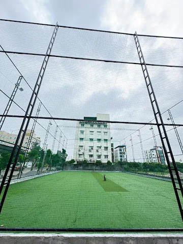 Turf photo 2