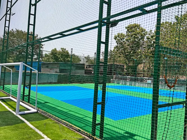 Turf photo 2