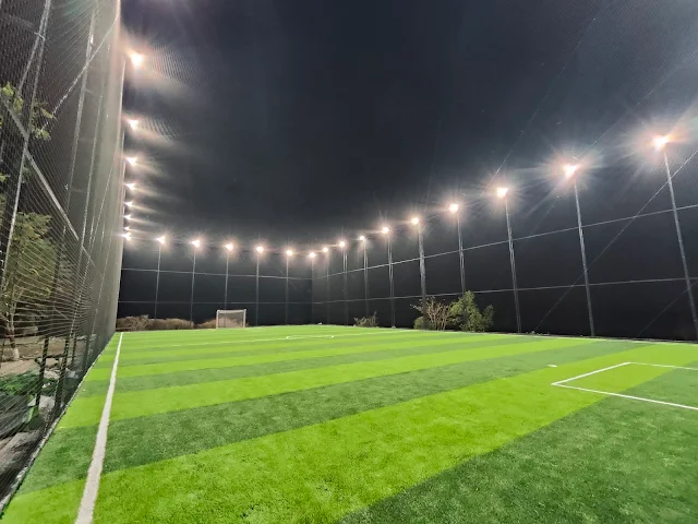 Turf main photo