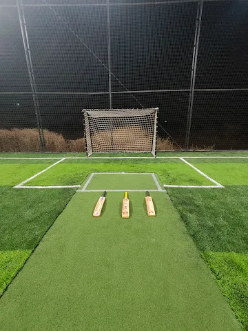 Turf photo 4