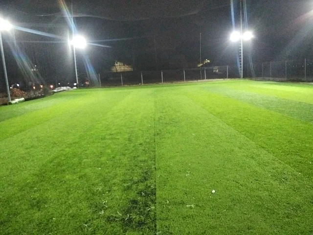 Turf photo 4