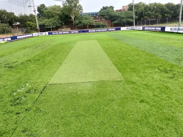 Turf photo 3