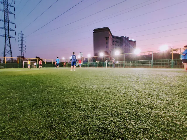 Turf photo 2