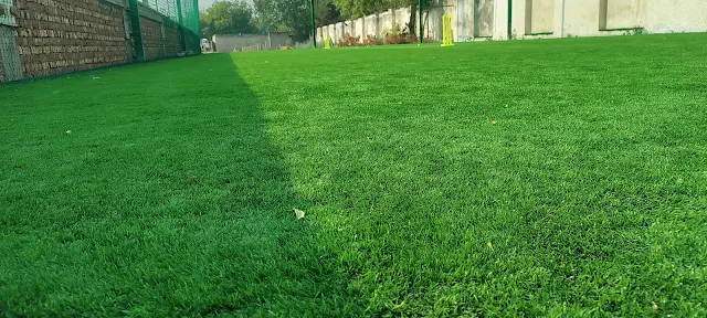 Turf photo 2
