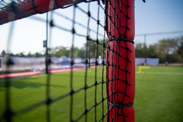 Turf photo 11