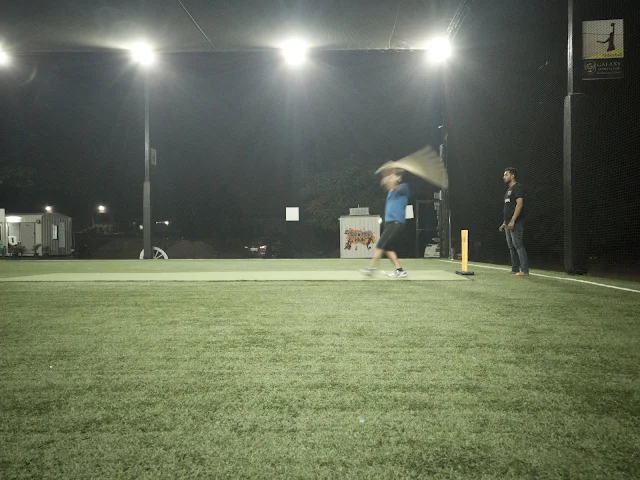 Turf photo 4